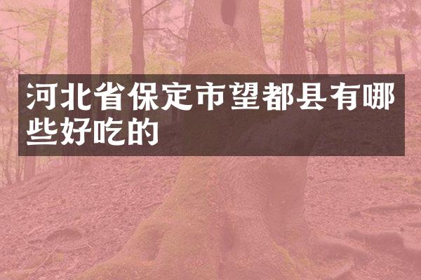 河北省保定市望都县有哪些好吃的
