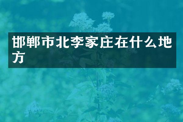 邯郸市北李家庄在什么地方