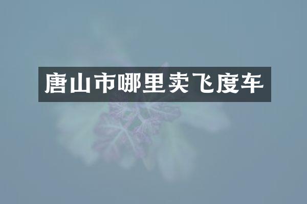 唐山市哪里卖飞度车