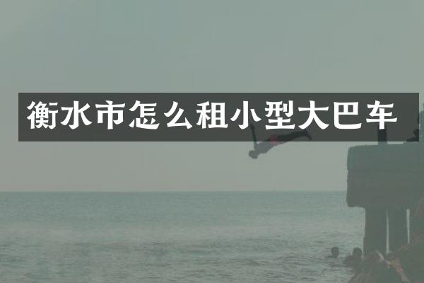 衡水市怎么租小型大巴车