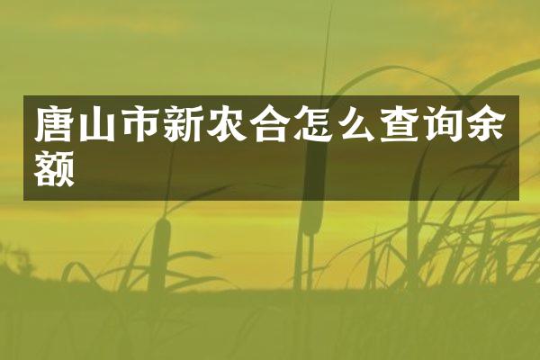 唐山市新农合怎么查询余额