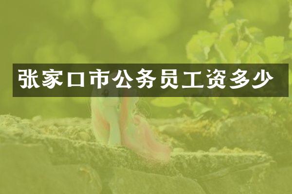 张家口市公务员工资多少