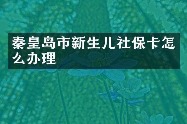 秦皇岛市新生儿社保卡怎么办理