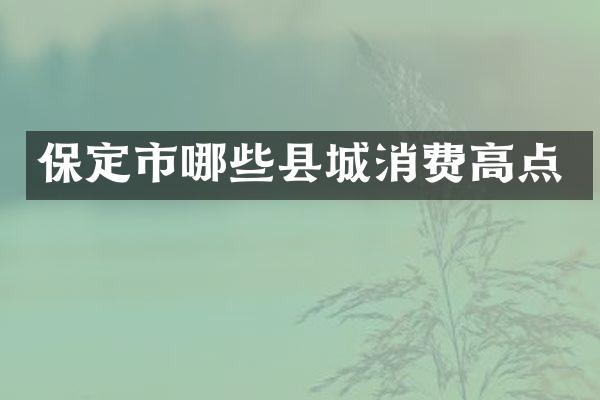 保定市哪些县城消费高点
