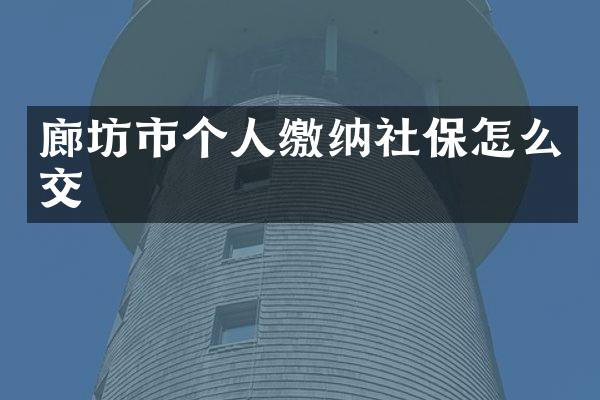 廊坊市个人缴纳社保怎么交