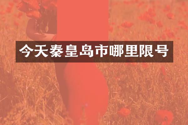 今天秦皇岛市哪里限号