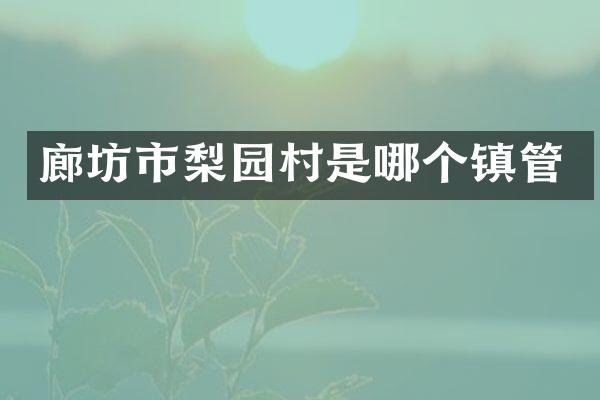 廊坊市梨园村是哪个镇管