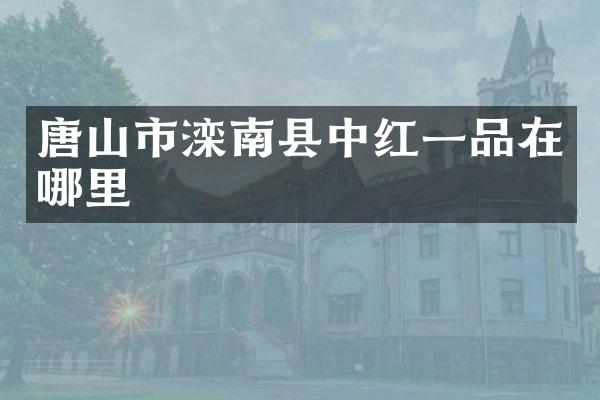 唐山市滦南县中红一品在哪里