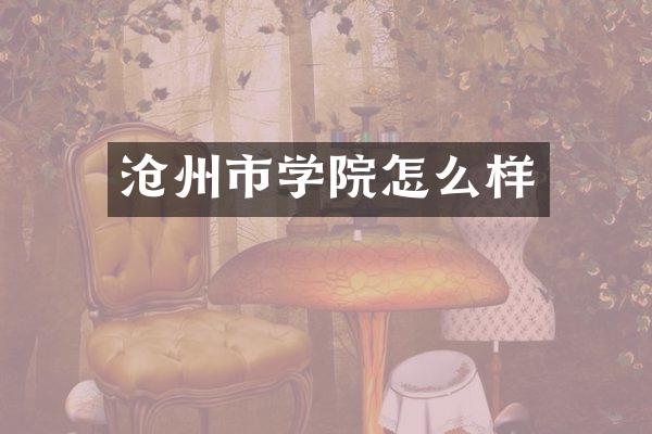 沧州市学院怎么样