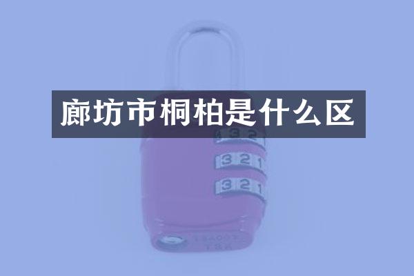 廊坊市桐柏是什么区