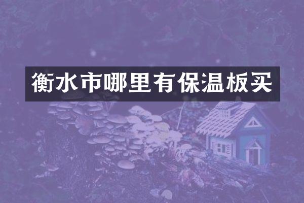 衡水市哪里有保温板买