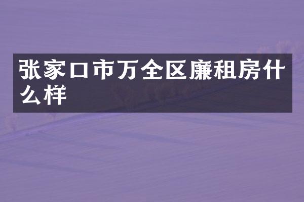 张家口市万全区廉租房什么样