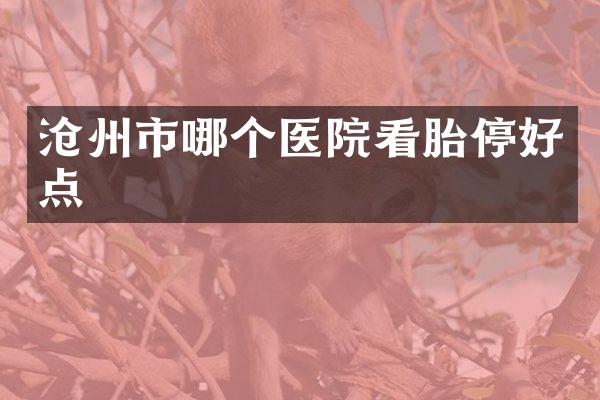 沧州市哪个医院看胎停好点