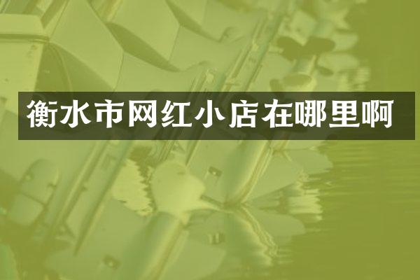 衡水市网红小店在哪里啊