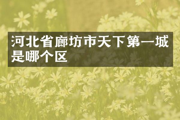 河北省廊坊市天下第一城是哪个区