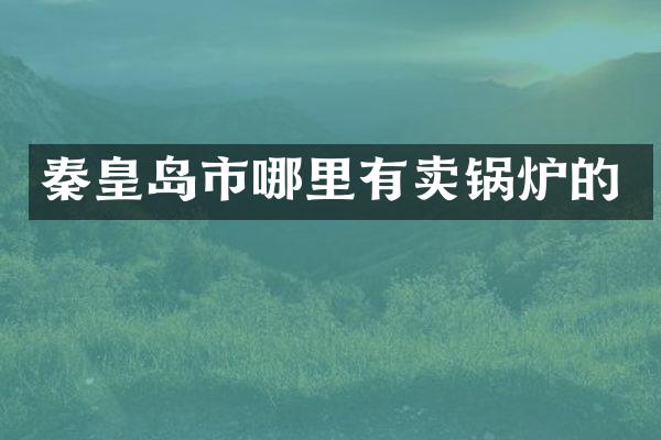 秦皇岛市哪里有卖锅炉的