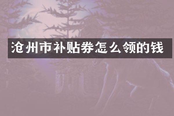 沧州市补贴券怎么领的钱