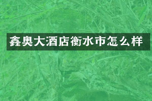 鑫奥大酒店衡水市怎么样