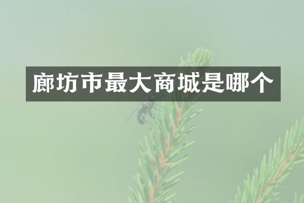廊坊市最大商城是哪个