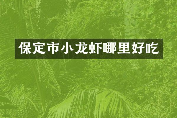 保定市小龙虾哪里好吃