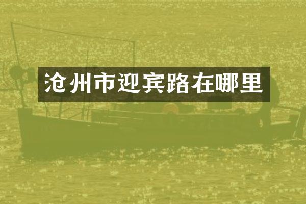 沧州市迎宾路在哪里