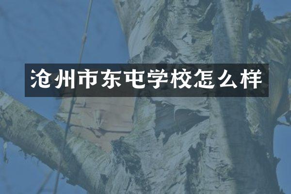 沧州市东屯学校怎么样