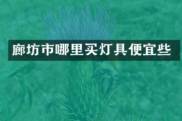 廊坊市哪里买灯具便宜些