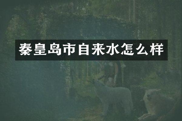 秦皇岛市自来水怎么样