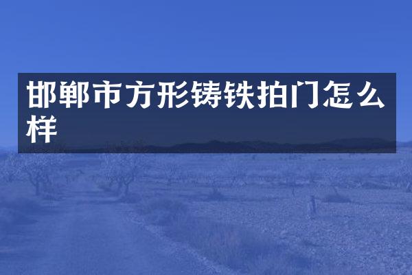 邯郸市方形铸铁拍门怎么样