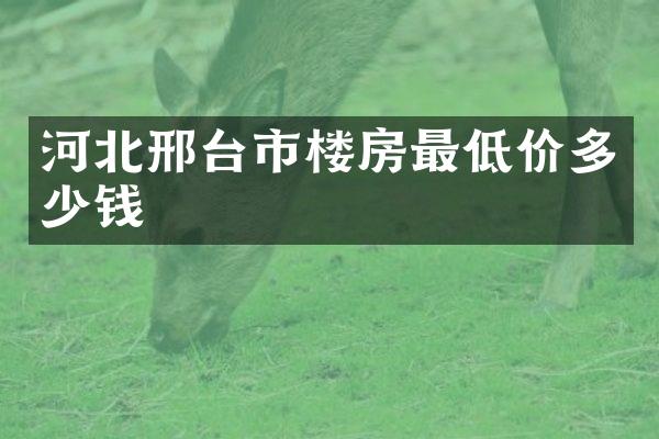河北邢台市楼房最低价多少钱