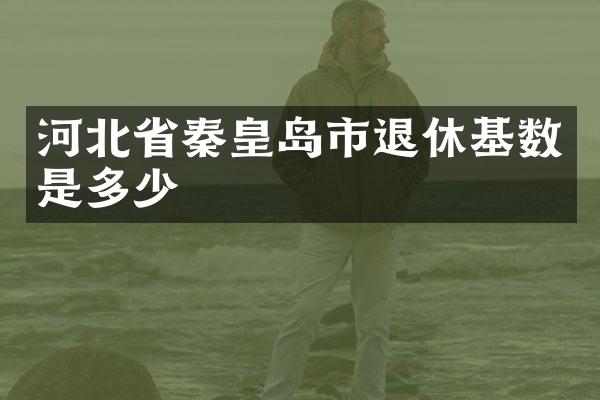 河北省秦皇岛市退休基数是多少