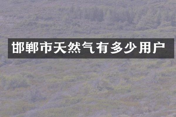 邯郸市天然气有多少用户