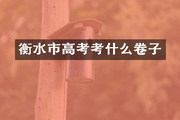 衡水市高考考什么卷子