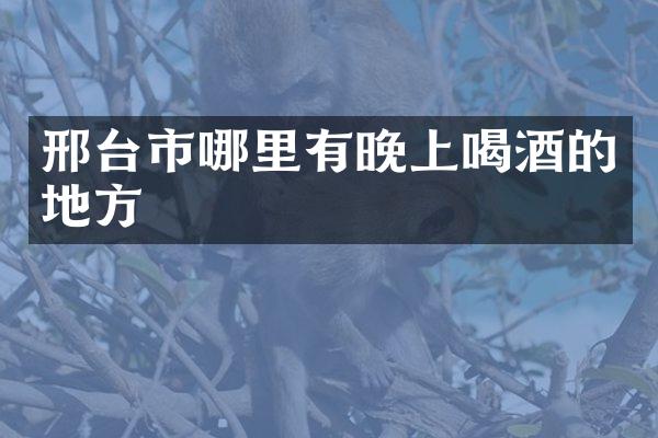 邢台市哪里有晚上喝酒的地方