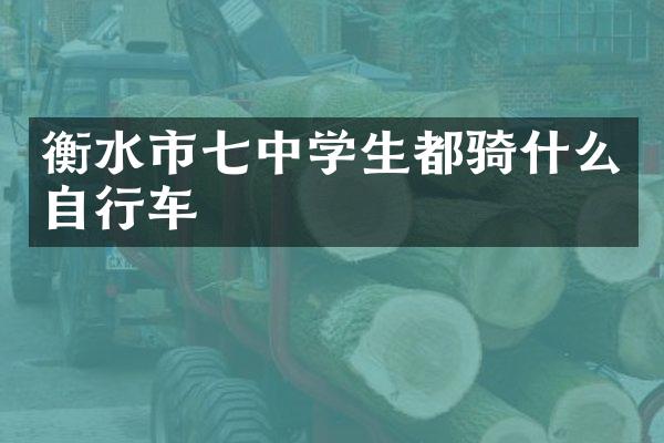 衡水市七中学生都骑什么自行车