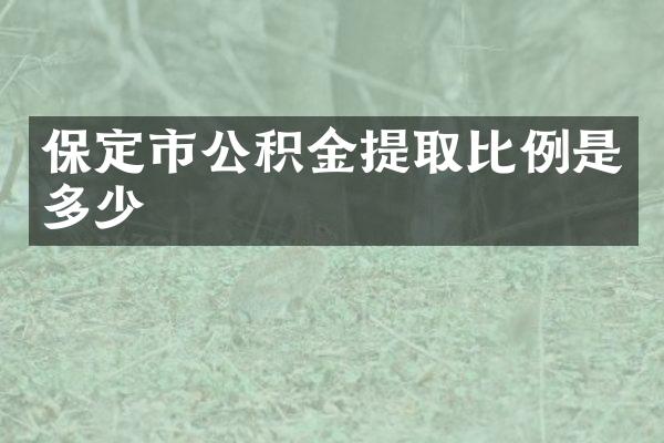 保定市公积金提取比例是多少