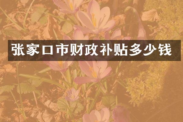 张家口市财政补贴多少钱