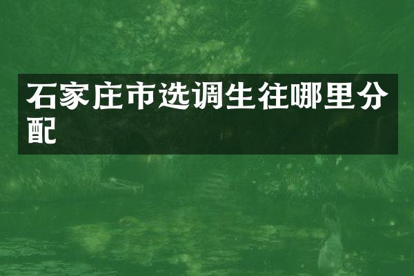 石家庄市选调生往哪里分配
