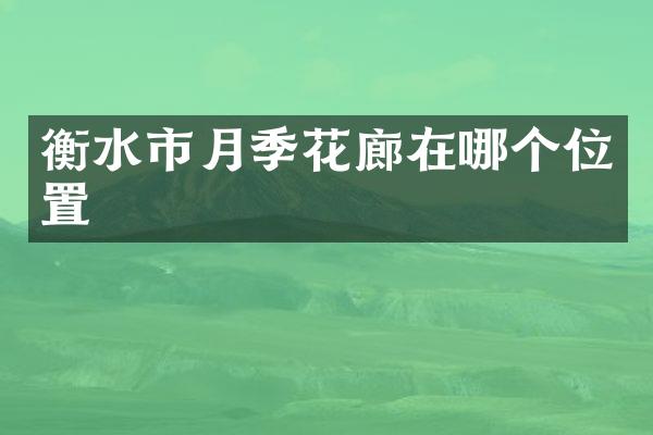 衡水市月季花廊在哪个位置