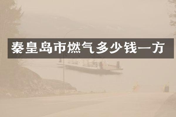 秦皇岛市燃气多少钱一方
