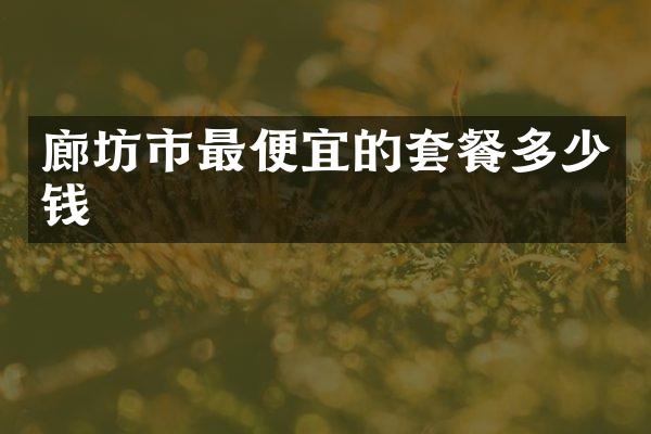 廊坊市最便宜的套餐多少钱