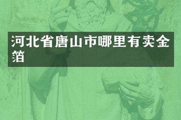 河北省唐山市哪里有卖金箔