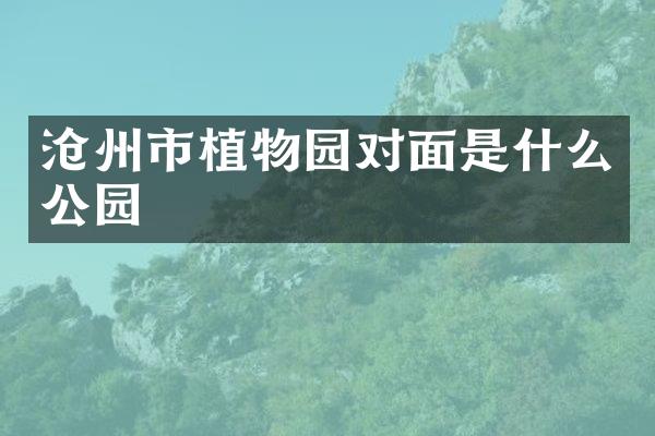 沧州市植物园对面是什么公园