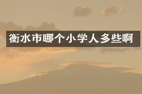 衡水市哪个小学人多些啊