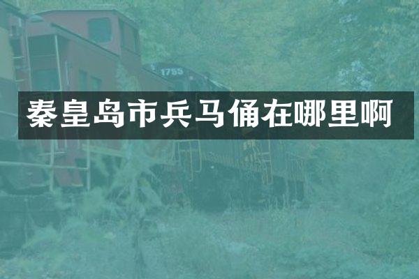 秦皇岛市兵马俑在哪里啊