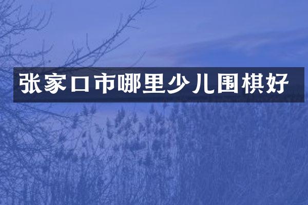 张家口市哪里少儿围棋好