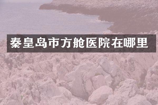 秦皇岛市方舱医院在哪里