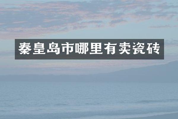 秦皇岛市哪里有卖瓷砖