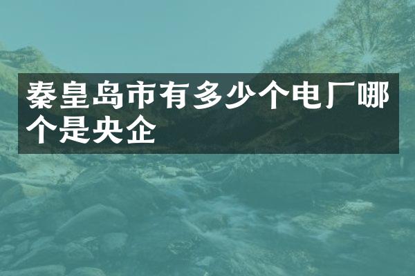 秦皇岛市有多少个电厂哪个是央企