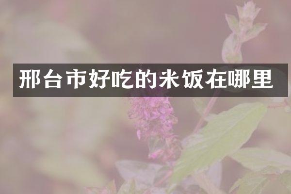 邢台市好吃的米饭在哪里